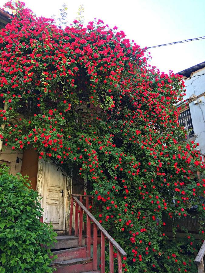 Apartment In Cozy Little Yard 트빌리시 외부 사진